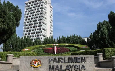 The Unnecessary State of Emergency is Detrimental to Parliamentary Democracy